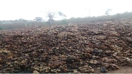 Raw material trucks arriving at factory