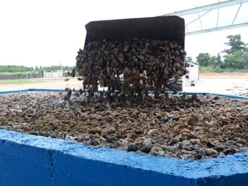 Rubber tapping worker — MGR plantation