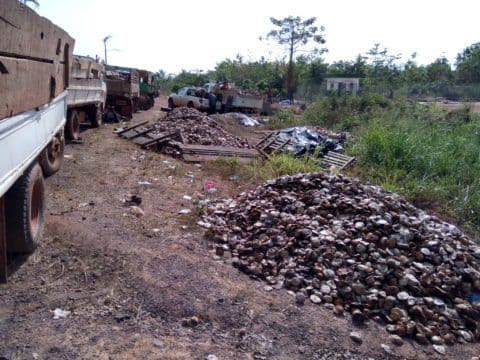 Warehouse bales ready for export